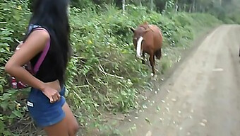 El Viaje De 18+ De La Adolescente Tailandesa Heatherdeep De Perú A Ecuador: Un Viaje Salvaje Con Polla De Caballo Y Creampie