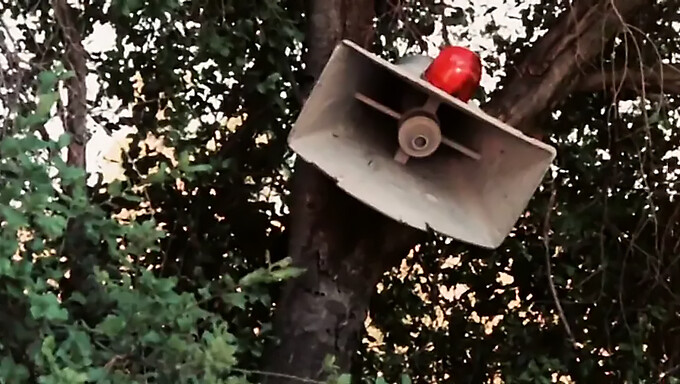 La Stretta Figa Di Kari Klark Ripristinata Al Suo Splendore Vergine