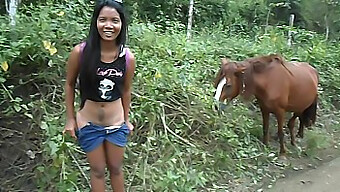 Heatherdeep.Com Celebra O Amor Pelo Pênis Enorme De Um Cavalo, Resultando Em Uma Intensa Ejaculação Feminina.