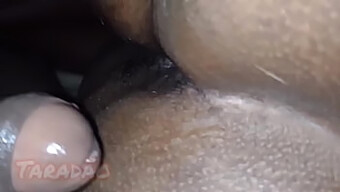 Blowjob And Facial Cumshot In Hd Video