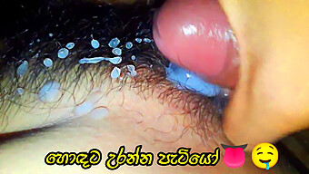 Hairy Wife Gets A Close-Up View Of A Big Cock In Sri Lankan Porn