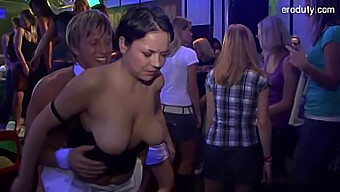 Stud-Ul De Abanos Îi Face Plăcere Fetei Albe Cu Poziție De Cowgirl Și Handjob