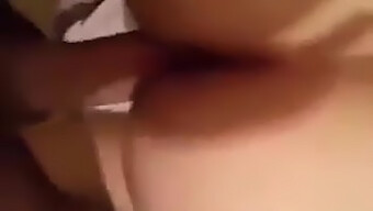 Arab Big Boobs And Cock In Homemade Algerian Video