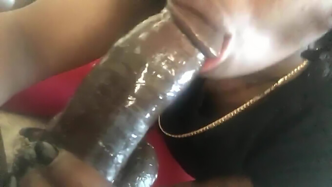 Black Amateur Gets Oral Pleasure In Homemade Video