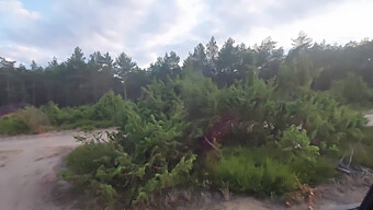 Pov Video Van Gevingerd Poesje Op Openbare Parkeerplaats Op Het Strand