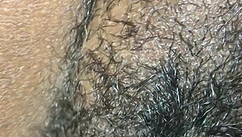 A Plump And Hairy Vagina Gets Pleasure From A Sizable Ebony Phallus